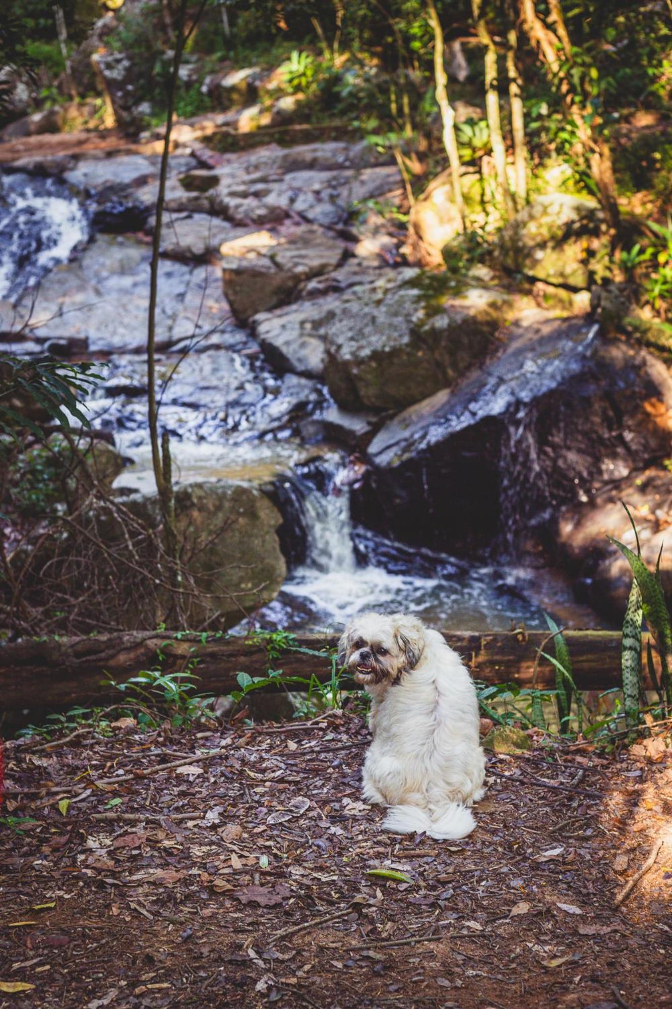Quinta Da Bocaina Villa Amparo  Bagian luar foto